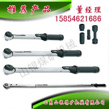 點(diǎn)擊查看詳細(xì)信息<br>標(biāo)題：顯示扭力扳手 閱讀次數(shù)：1729
