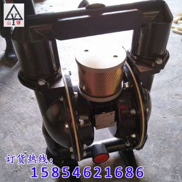 點(diǎn)擊查看詳細(xì)信息<br>標(biāo)題：氣動(dòng)隔膜泵 閱讀次數(shù)：1782