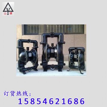點擊查看詳細信息<br>標題：氣動隔膜泵 閱讀次數(shù)：1467