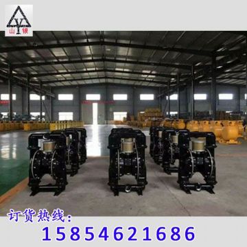 點擊查看詳細信息<br>標題：隔膜泵_氣動隔膜泵_隔膜泵價格_隔膜泵 閱讀次數：1749